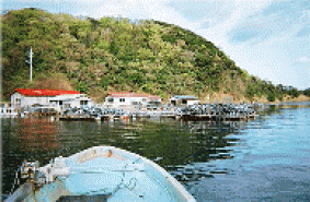 Tougasaki Island